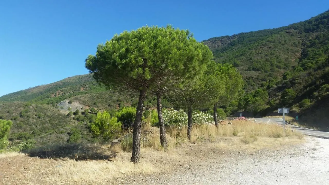2147-Beautiful 2 Bedrooms With Sea View Manilva